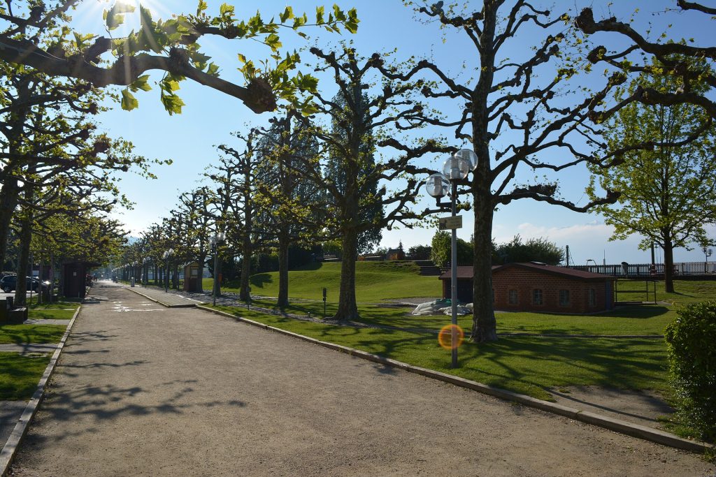 Le port de Pully au bord du Léman